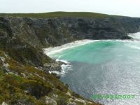 kangaroo island