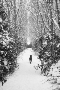 For those who just love snow!