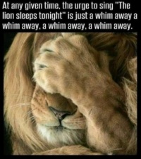 The lion sleeps tonight - redux
