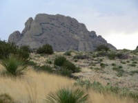 Rockhound Campground, SW New Mexico