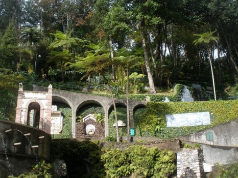Madeira-Tropical Garden Monte Palace