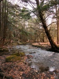 North Country Trail