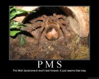 PMS!!!!!!