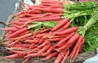 Farmers Market #2