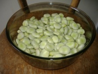 2025.07 - Allotment - Broad Beans 2 (Resize: 12 - 357 Pieces)