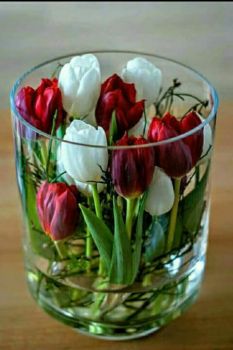 Tulips in a GLASS