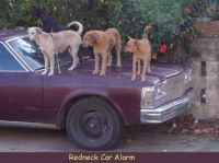 Redneck Car Alarm