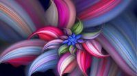 Abstract-Flower-Vector-Design-HD-Wallpaper