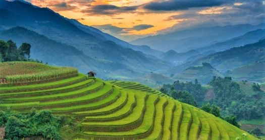 Solve Rice terraces of Mu Cang Chai , Vietnam jigsaw puzzle online with ...