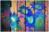 Blue Sunflowers Painted on a Wooden Fence