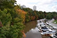 fall colors by Oakville Harbour