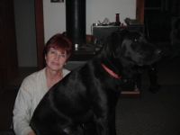 2004_0913lapdog0014