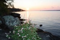 Falcon Lake sunset