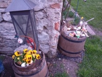IMG_20250416_201122