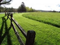 Fence and Field