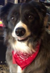 Say cheese