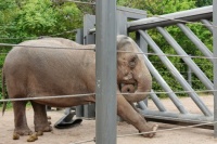 250524-06 artis