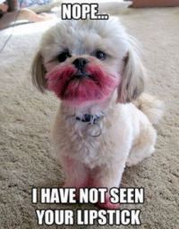Nope...i have not seen your lipstick