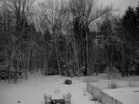 Just enough snow to be pretty