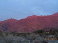 DSCN2605
