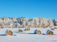 hay-bales-winter_ttphoto_ss