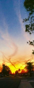 Angel-Cross sunset, Phoenix, AZ 3-23-2018
