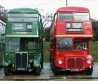 Green and red