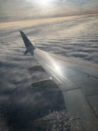Airplane wing shines at dawn