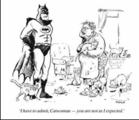 Batman and Catwoman :-)