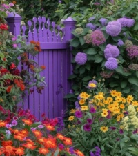 Blooming Beauties by the Purple Gate