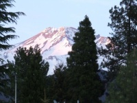 Mt Shasta (California)