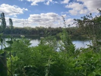 en bord de Seine