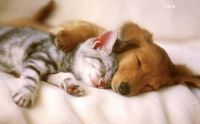 Bed partners