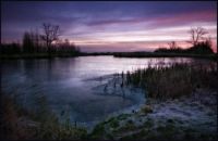 Awesome pictures 2/19