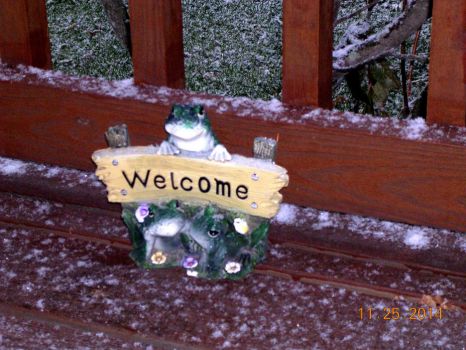 Welcome Frog - Yeahhhhh! It's going to snow today!!!!