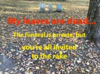 It's fall...