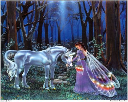 Fairy and Pony