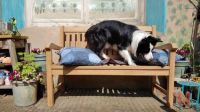 A new garden bench 3 :)