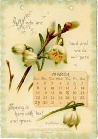 Calendar Month: March - Snow Drops & Pussy Willow (12 - 48 Pieces)
