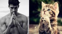 Men and cats (or cats and men)