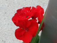 2013-05-20 10.59.20