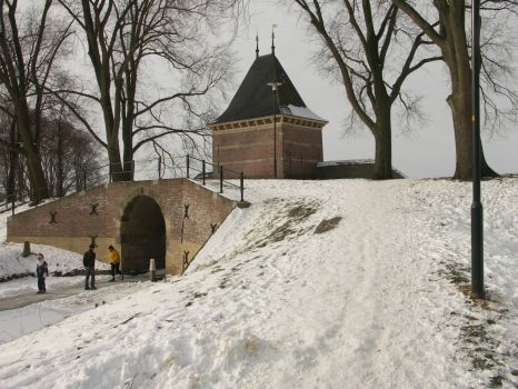 winter 2012