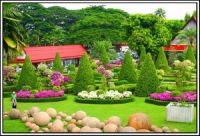 Amazing gardens (13)