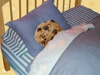 cookie