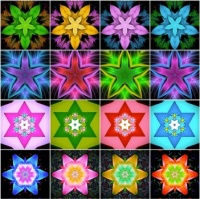 All Stars, No Stripes!  (Small)