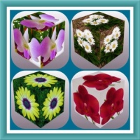 Flower Cubes Smaller.