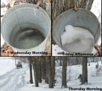 Backyard Sugaring 4: The weather intervenes