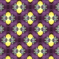 Kaleido
