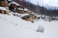 “Snow roller in Alberta, Canada”