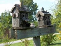Ancient Birdhouses